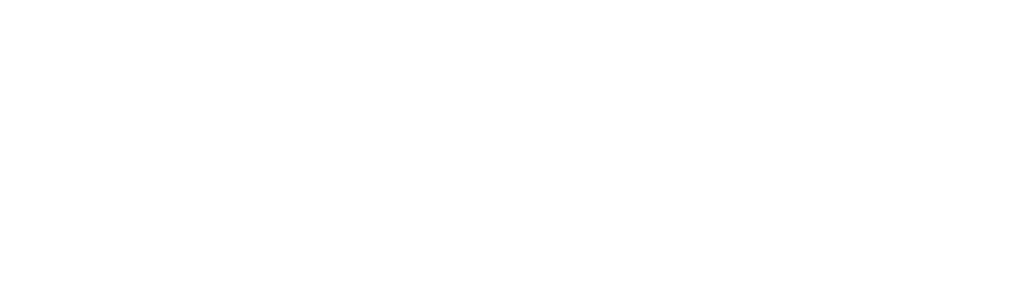Ausnutria_Logo_White.png